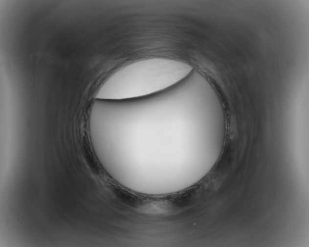 X0000085260210200703090902