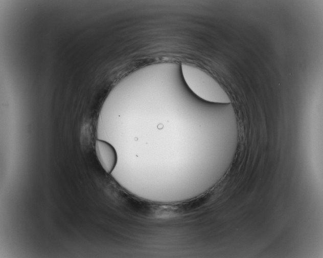 X0000085260222200703090901