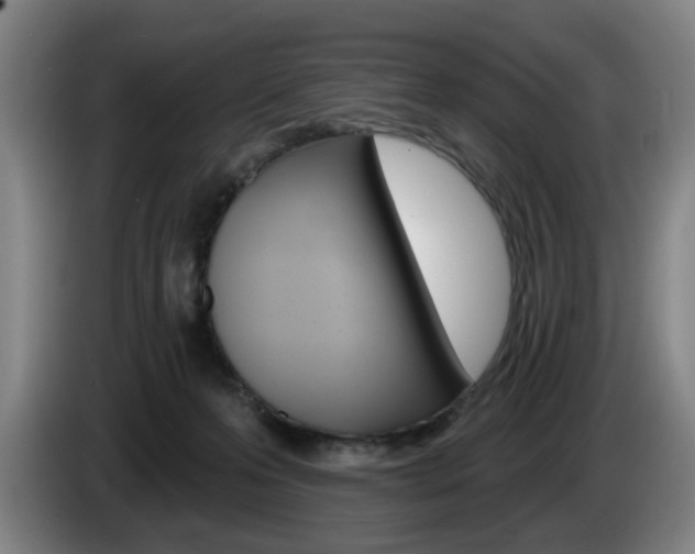 X0000085260223200703090901