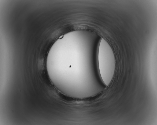 X0000085260224200703090901