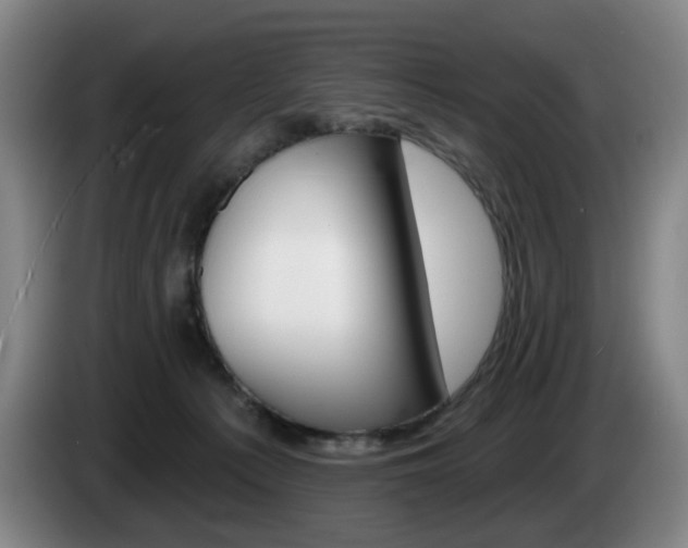 X0000085260225200703090901