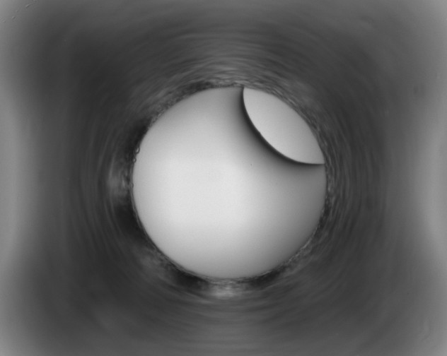 X0000085260226200703090901