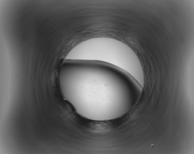 X0000085260229200703090901