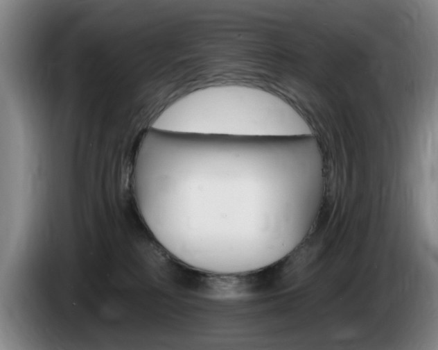 X0000085260230200703090901