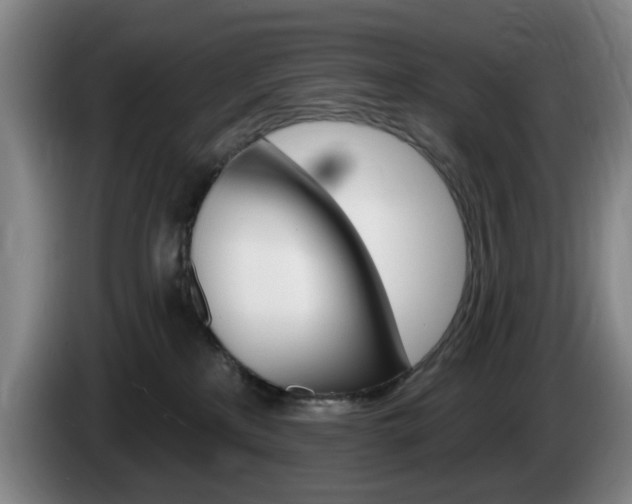 X0000085260233200703090901