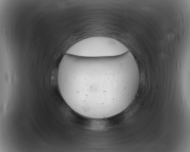 X0000085260234200703090901