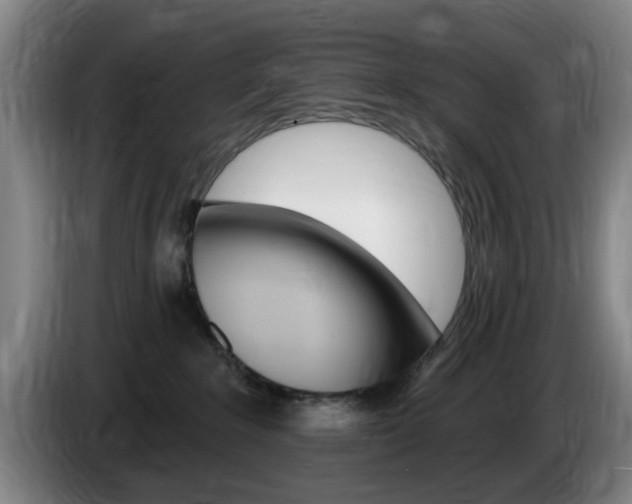 X0000085260235200703090901