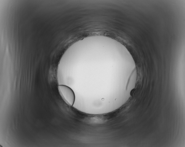 X0000085260236200703090901