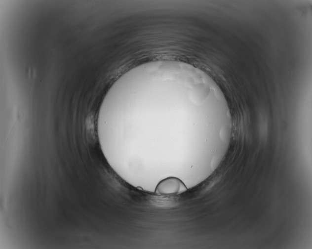 X0000085260238200703090901