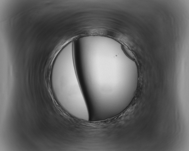 X0000085260241200703090900