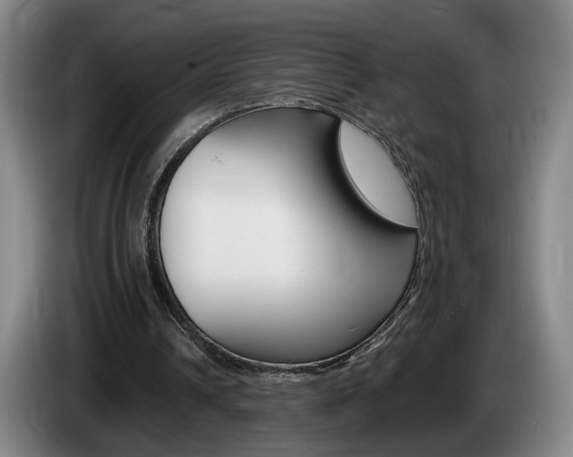 X0000085260242200703090900