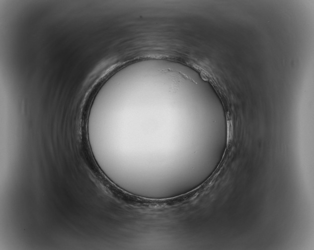 X0000085260243200703090900