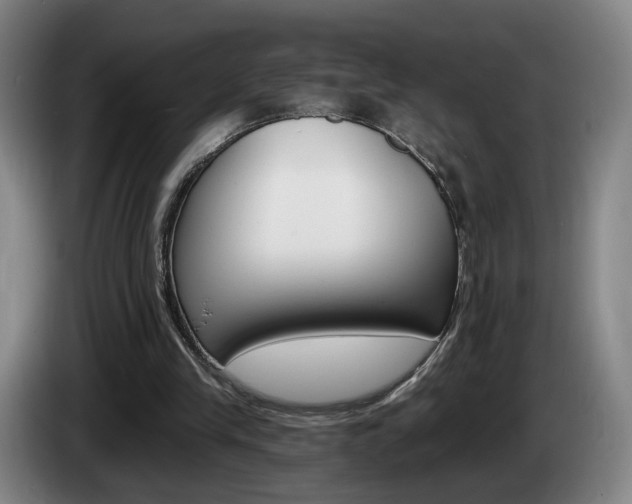 X0000085260245200703090901