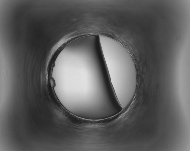 X0000085260246200703090901