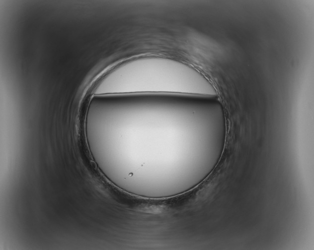 X0000085260247200703090901