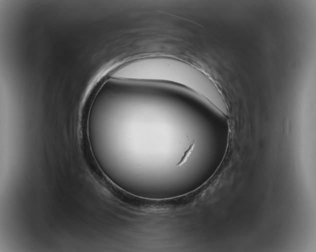 X0000085260248200703090901