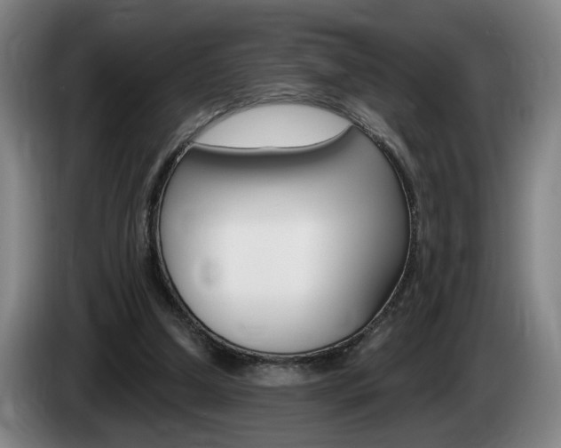 X0000085260250200703090901