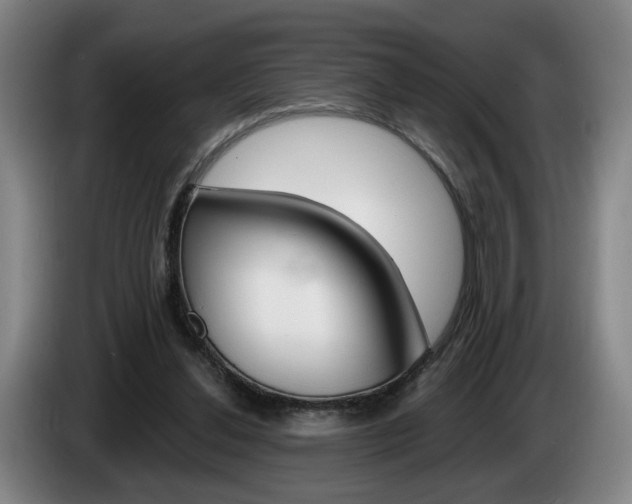 X0000085260252200703090901