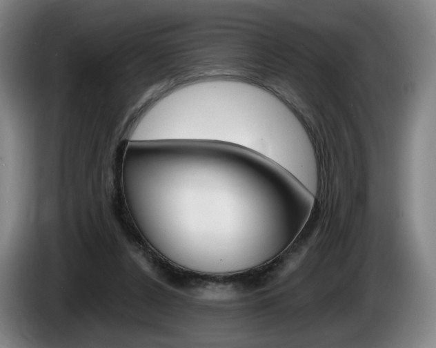 X0000085260256200703090901