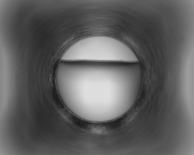 X0000085260258200703090901