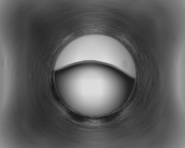 X0000085260260200703090901