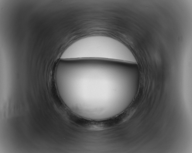 X0000085260263200703090901