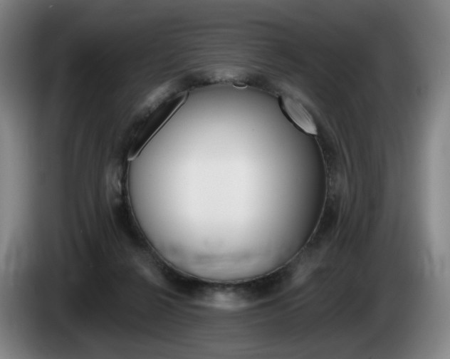 X0000085260264200703090901