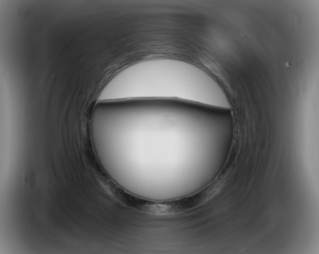 X0000085260265200703090901