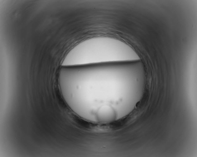 X0000085260270200703090901