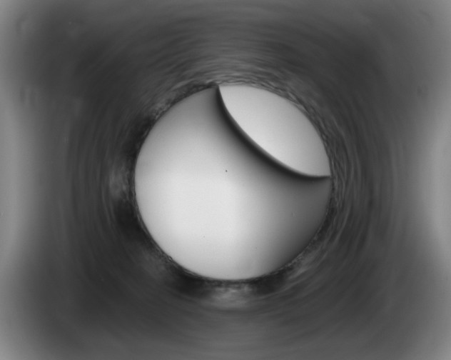 X0000085260274200703090901