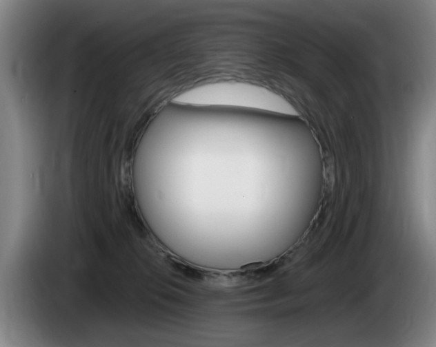 X0000085260276200703090901