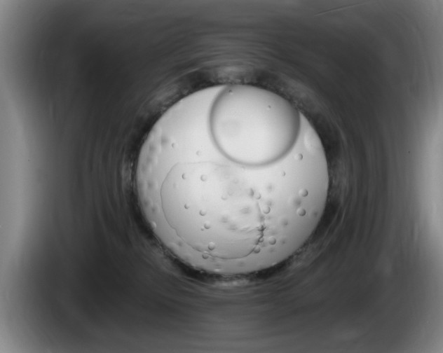 X0000085260278200703090901