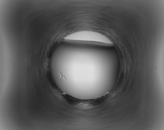 X0000085260280200703090901