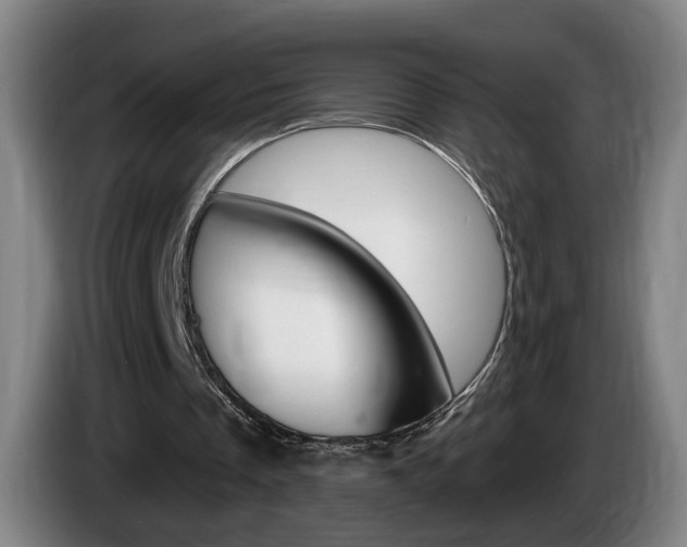 X0000085260289200703090900