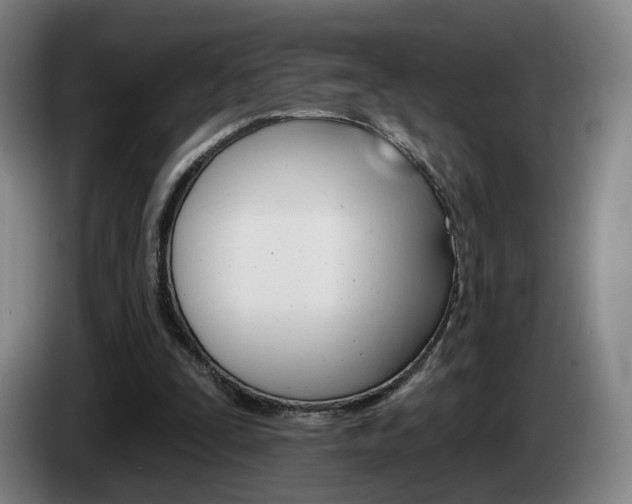 X0000085260295200703090900