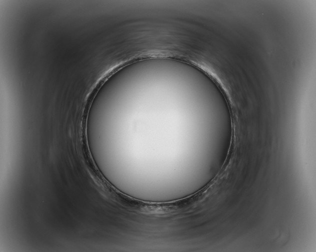 X0000085260297200703090900