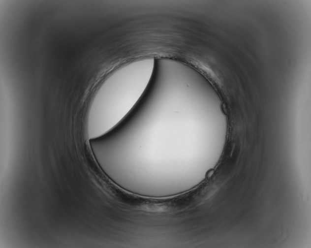 X0000085260299200703090900