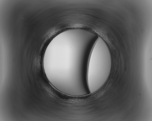 X0000085260300200703090900