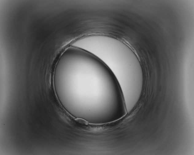 X0000085260301200703090900