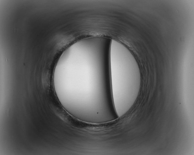 X0000085260303200703090900