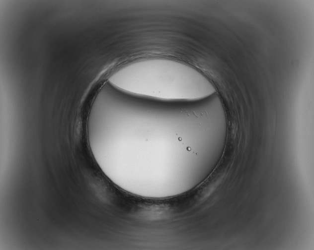 X0000085260304200703090900