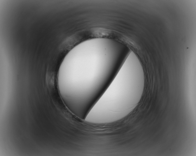 X0000085260315200703090900