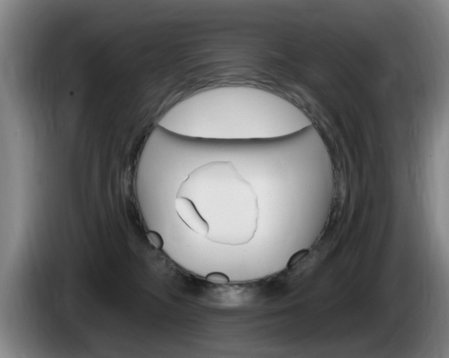 X0000085260326200703090900