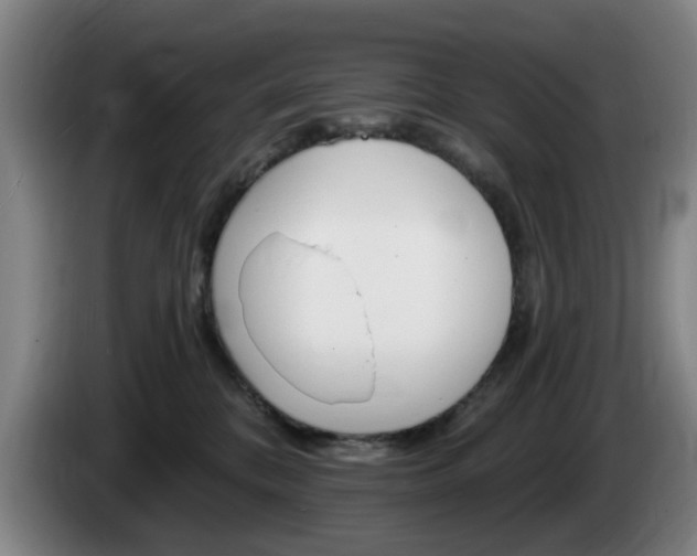 X0000085260328200703090900