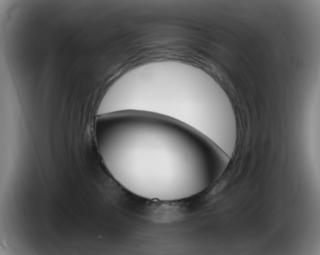 X0000085260329200703090900