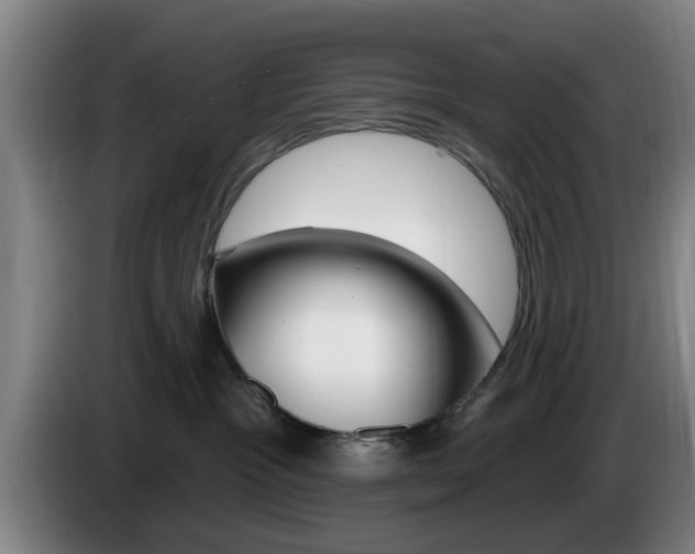 X0000085260333200703090900