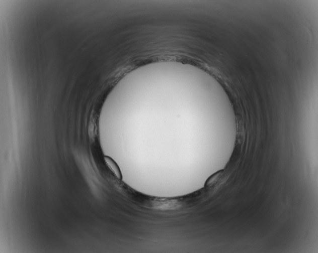 X0000085260334200703090900