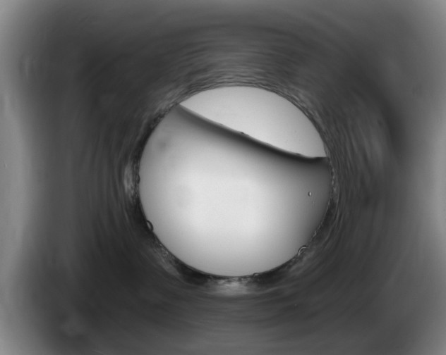 X0000085260335200703090900