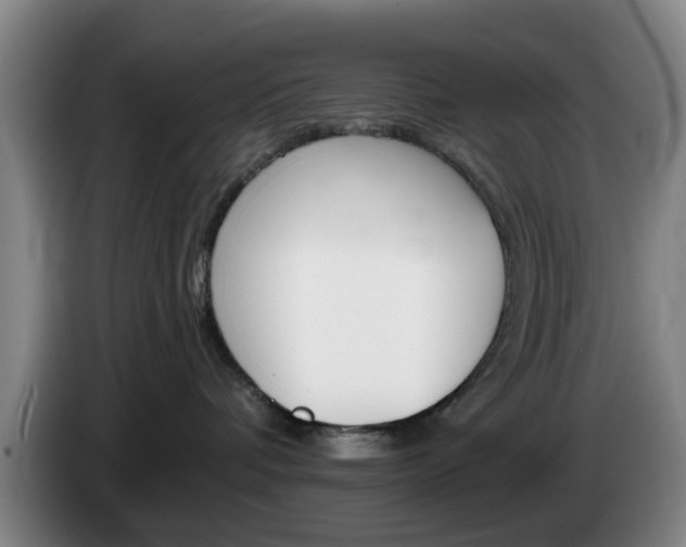 X0000085260336200703090900