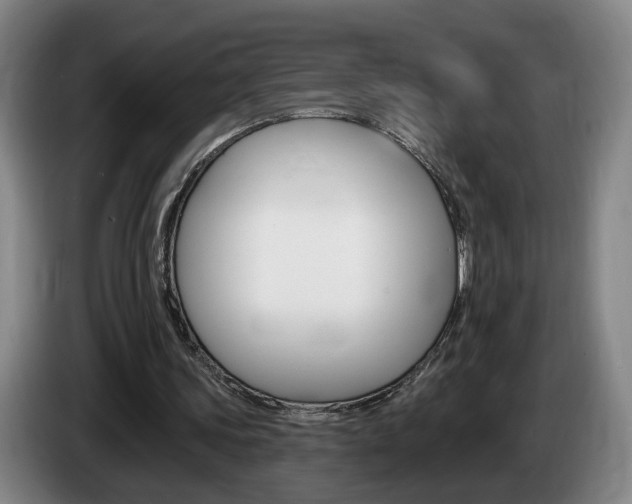 X0000085260339200703090859